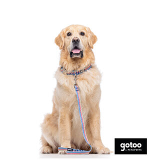 Gotoo Correa estampada rayas zig-zag para perros