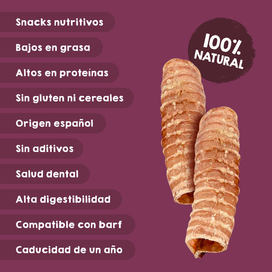 Tr&aacute;queas de ternera deshidratadas. Chuches para perros 100% Natural. MAIKAI PETS. 2 UDS., , large Imagen numero 3