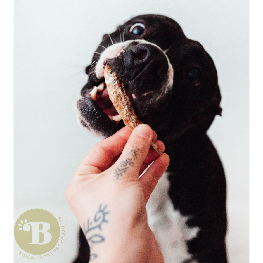 BIMORDISCOS Pescaditos Eperlanos para perros y gatos, , large Imagen numero 5