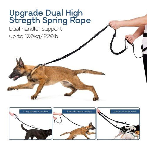 Edipets correa canicross manos libres con bolsillos de almacenamiento azul para perros, , large Imagen numero 3