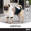 Gotoo Pijama Bloque Multicolor para perros, , large indicador imagen numero 6