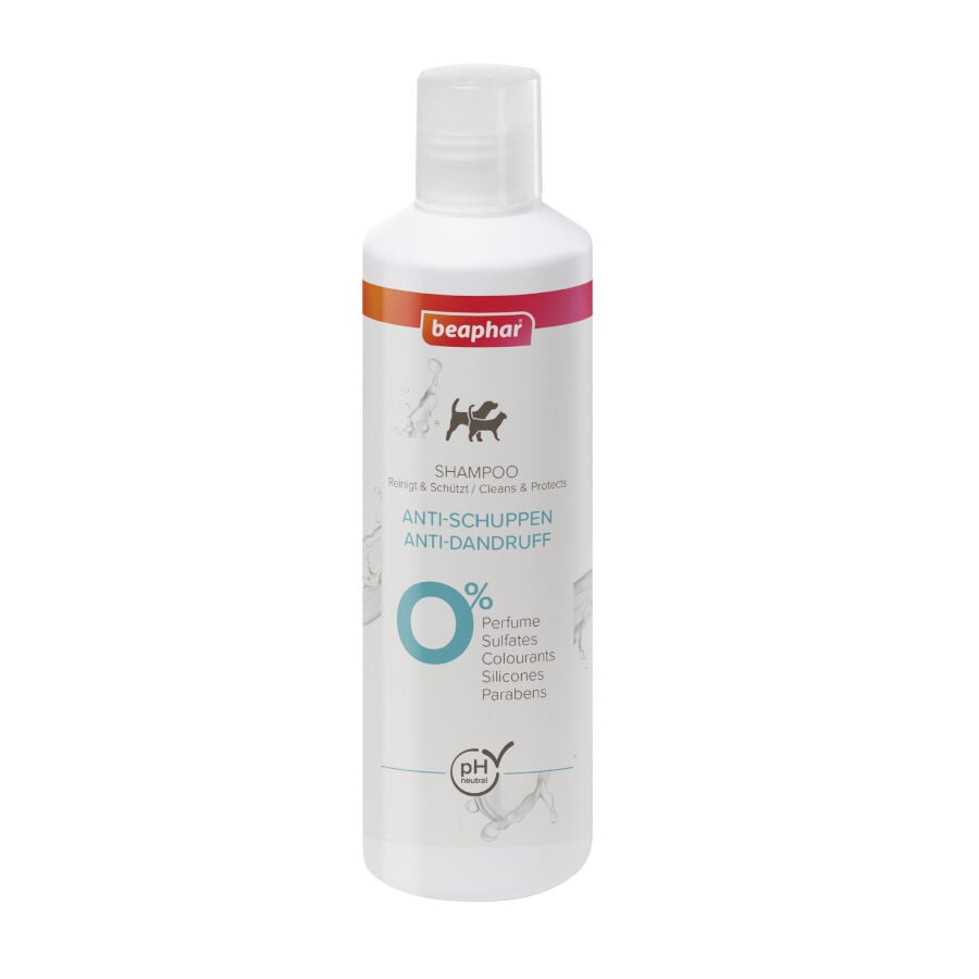 Beaphar Champú Anticaspa para perros y gatos