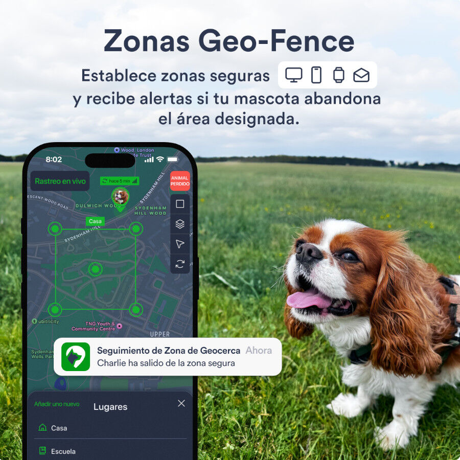 Tracktimo Localizador GPS Petloc8 Mini 4G para perros y gatos peque&ntilde;os, , large Imagen numero 4
