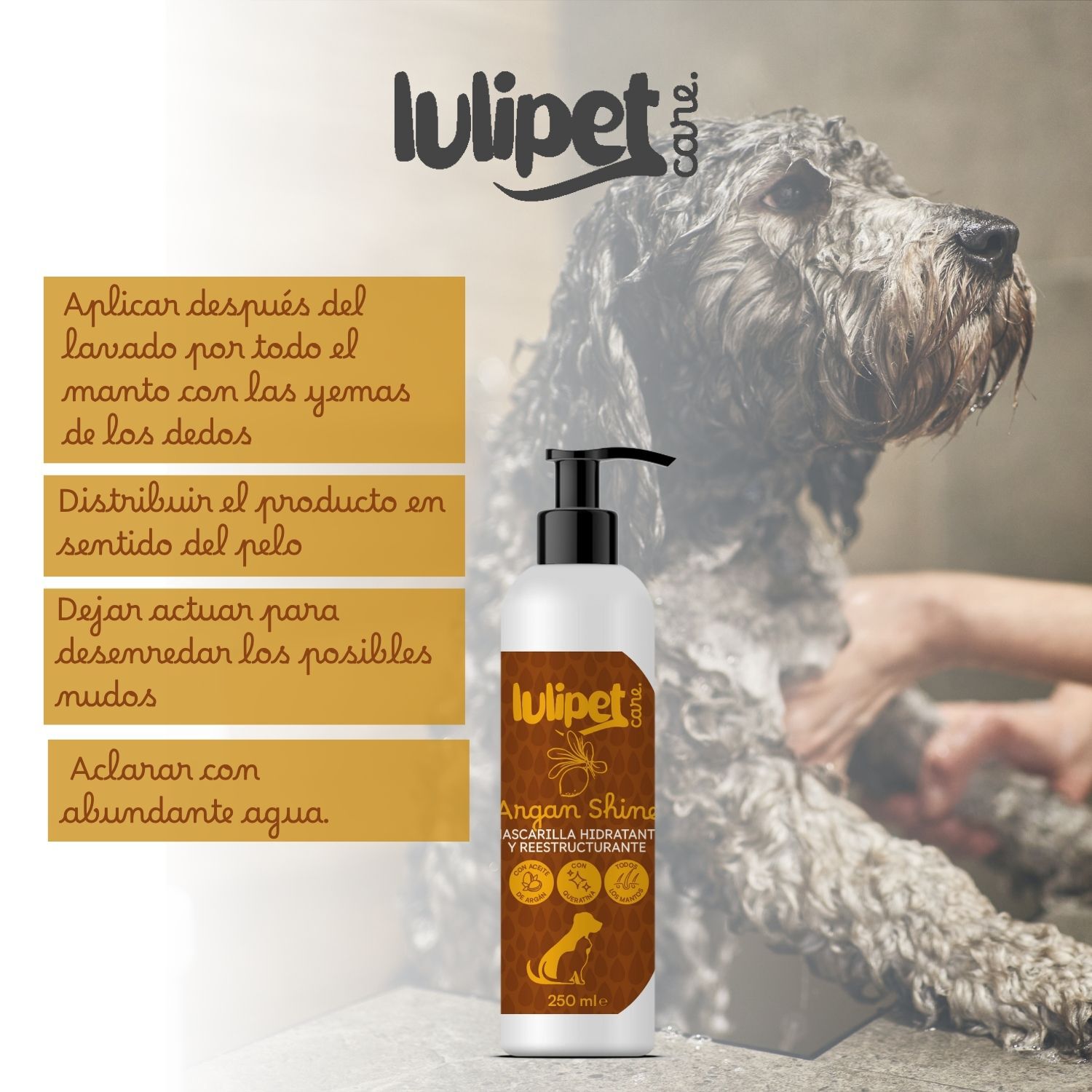 Mascarilla Argan Shine - Mascarilla hidratante de Arg&aacute;n 250 ml, , large Imagen numero 3