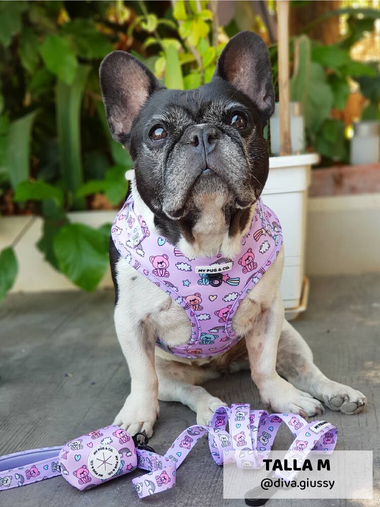 Arn&eacute;s Ajustable Teddy Bears, , large Imagen numero 4