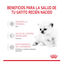Royal Canin Leche para gatitos primer año, , large indicador imagen numero 6
