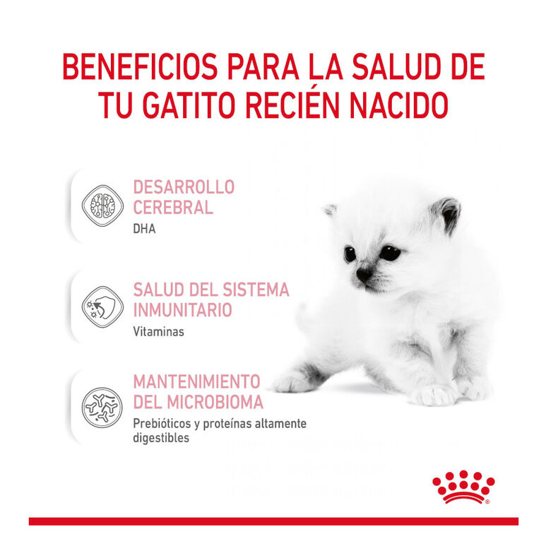 Royal Canin Leche para gatitos primer año thumbnail
