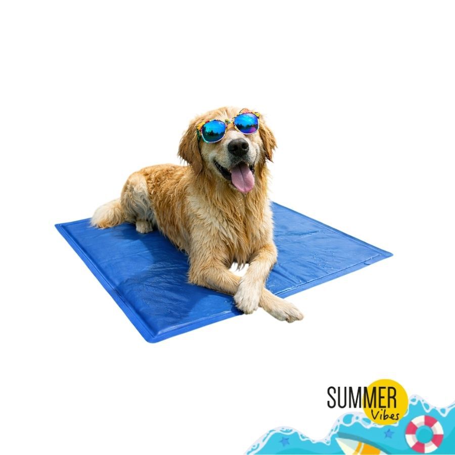 Summer Vibes Manta Refrescante Azul para perros, , large Imagen numero 6
