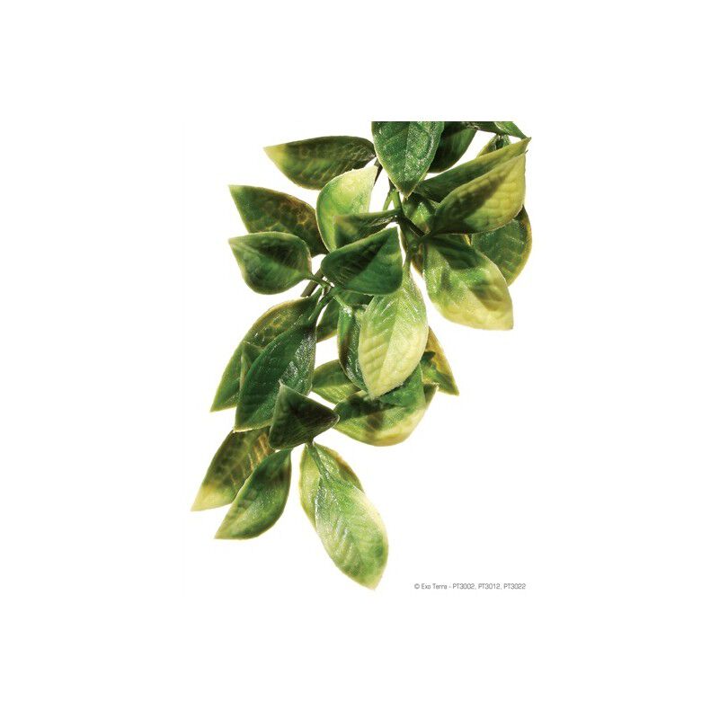 Planta colgante pl&aacute;stica para terrario Exo Terra, Mandarin, M, , large Imagen numero 1