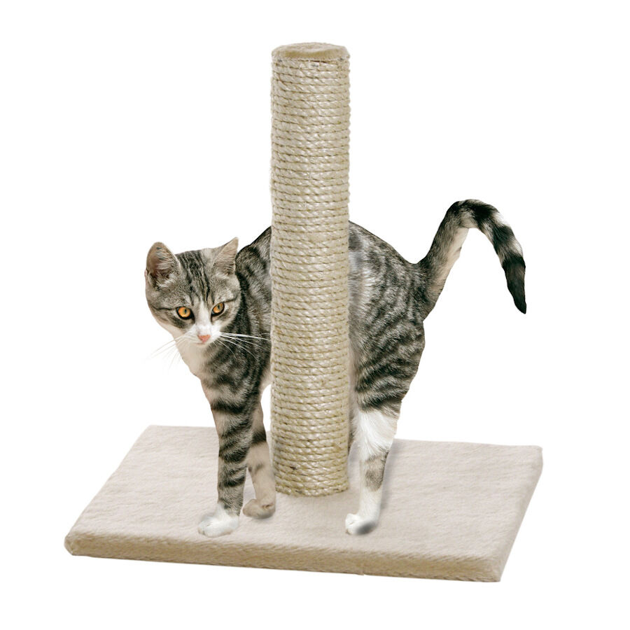Rascador gato 2025 tiendanimal