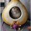 Casa para gato de fieltro de lana artesanal Potir, , large indicador imagen numero 5