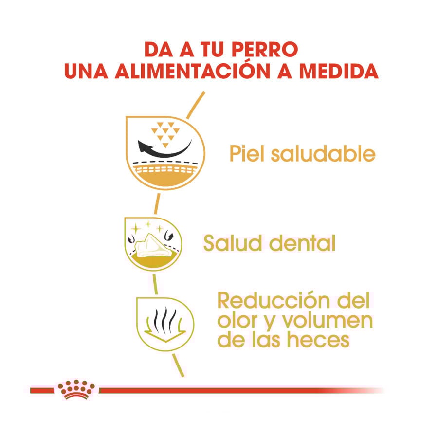 Royal Canin Adult Shih Tzu pienso para perros thumbnail