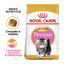 10 kg Royal Canin Kitten Persia pienso para gatos, , large indicador imagen numero 2