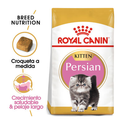 Royal Canin Kitten Persia pienso para gatos