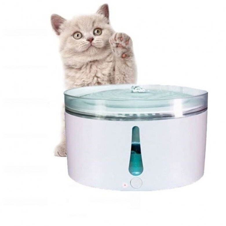 Fuente de agua inteligente para mascotas color Blanco, , large image number null