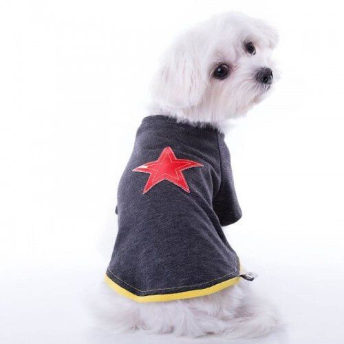 Camiseta para perros Groc Groc Nun Star gris, , large Imagen numero 1