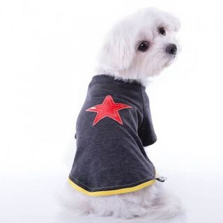 Camiseta para perros Groc Groc Nun Star gris
