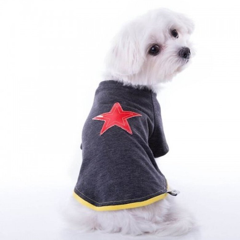 Camiseta para perros Groc Groc Nun Star gris, , large image number null