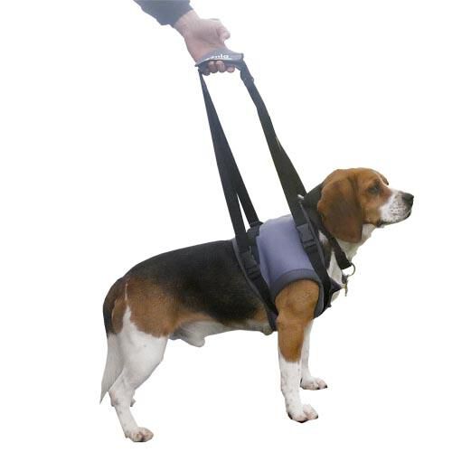 Arnés ortopédico para perros patas traseras sales