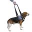 Transportador - Arnés de mano para perros con parálisis en patas delanteras o traseras HANDY CANIS Talla L, , large indicador imagen numero 3