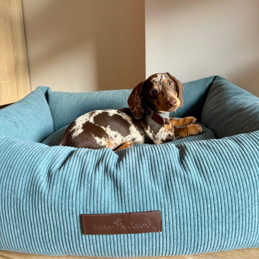 CAMA DE PANA NUBE - PEQUE&Ntilde;A, , large Imagen numero 2