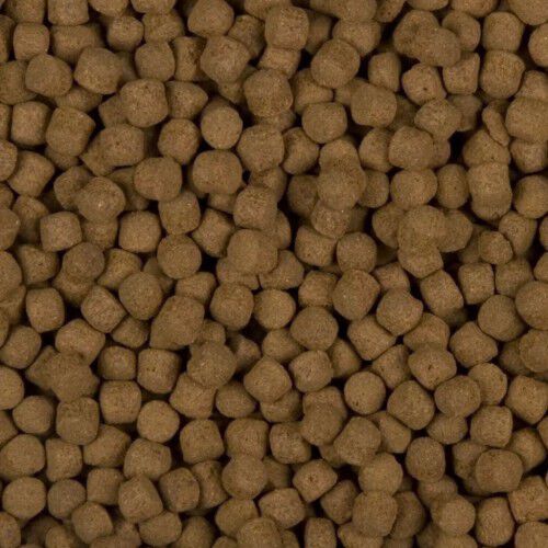 Comida para carpas Koi japonesas pequeñas y medianas thumbnail