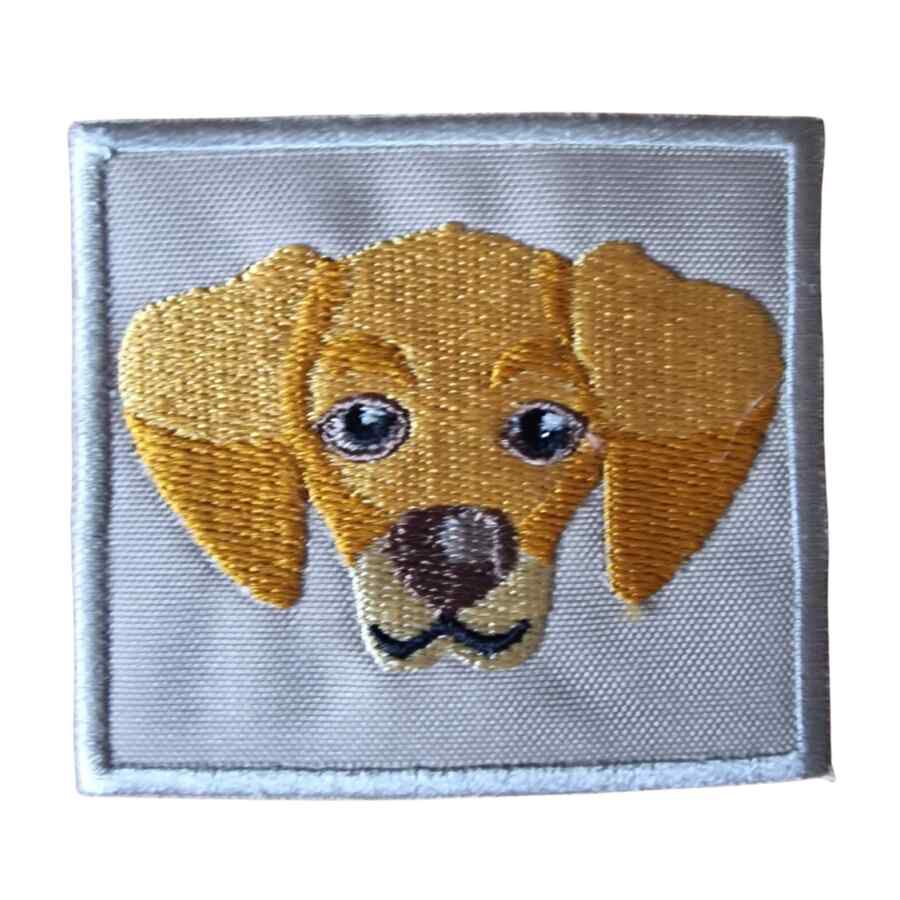 Individual parche perro golden retriever