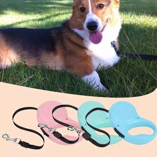 Correa extensible para perro color Azul, , large Imagen numero 5