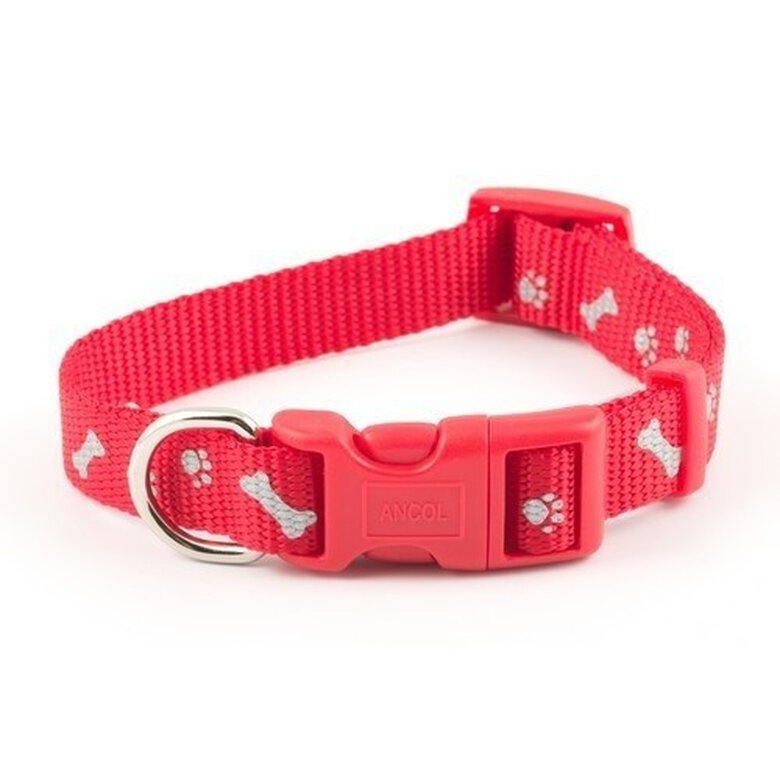 Collar modelo Paw N Bone para perros color Rojo, , large image number null