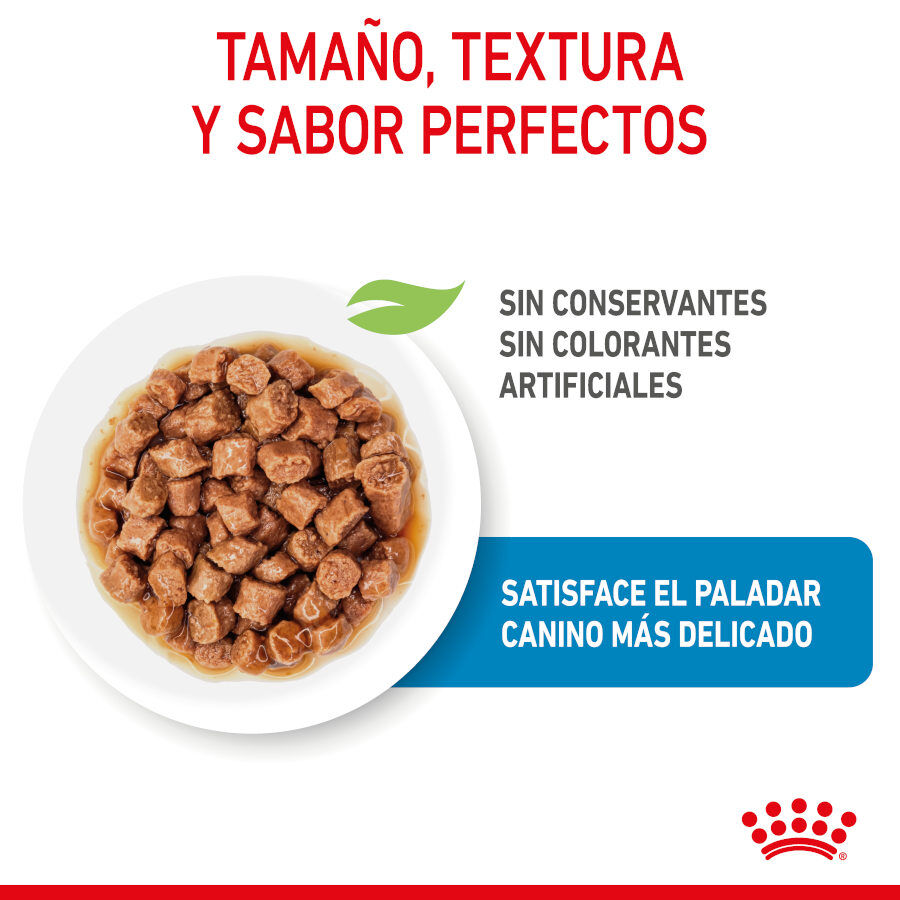 85 g Royal Canin X-Small Puppy Trocitos en Salsa sobre para perros, , large Imagen numero 5