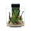 FLUVAL Acuario Fluval Edge 2.0, , large indicador imagen numero 1
