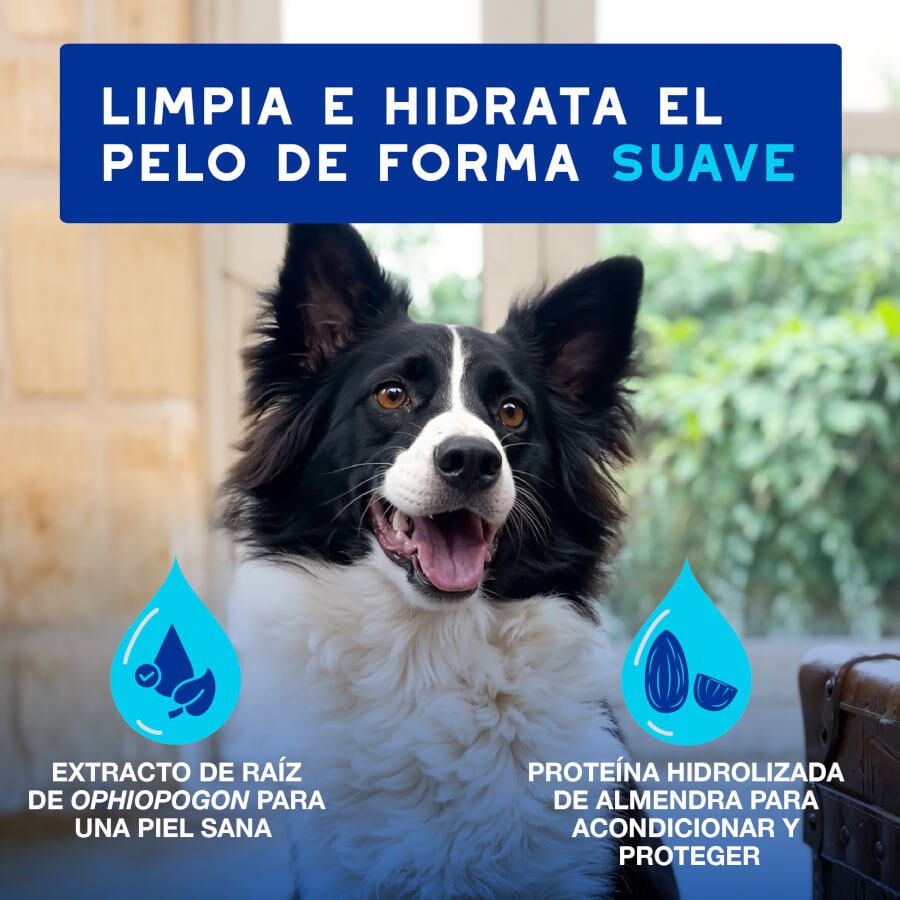 Ceva Douxo Spa Mousse Limpiador Expr&eacute;s para perros, , large Imagen numero 7