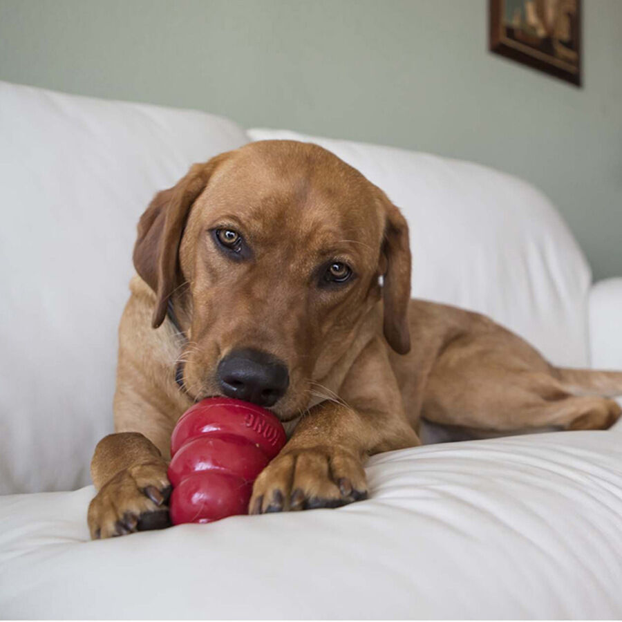 Kong Bocaditos Tocino y Queso para perros thumbnail
