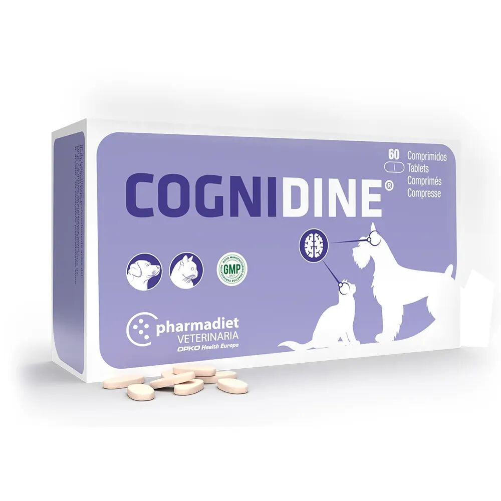 Cognidine Caja de 30 comprimidos, , large Imagen numero 2