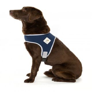 Arnés ergónomico Jostedal para perros Gobak transpirable azul