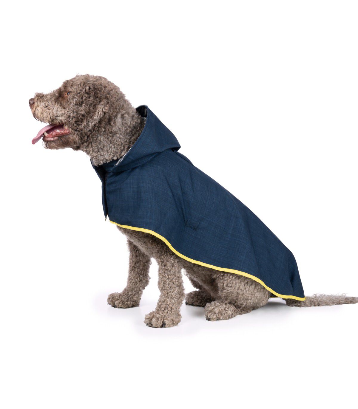 Capa de Lluvia para perro Groc Groc Lola 3 Softshell Azul Marino, , large Imagen numero 1
