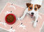 VINILIKO, alfombra de vinilo mascotas, D&aacute;lmatas rosa 48x75 cm, , large indicador imagen numero 2