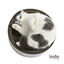 Leeby Domingo cama rascador de cartón con estampado para gatos, , large indicador imagen numero 2