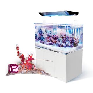 Aquamedic Armatus Acuario Blanco todo en uno para peces