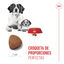 15 kg Royal Canin Medium Starter Mother&Baby pienso para perros, , large indicador imagen numero 5
