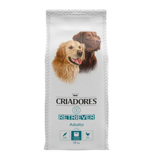 Criadores Retriever pienso para perros