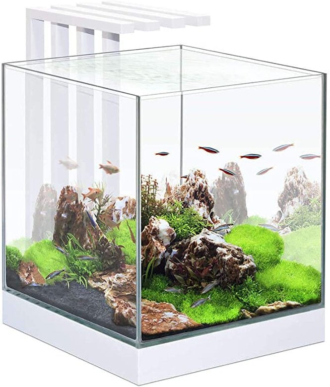 Acuario Nexus Pure Cube 25 - Set Completo 22 litros con LED, Filtro Interior y Consumibles
