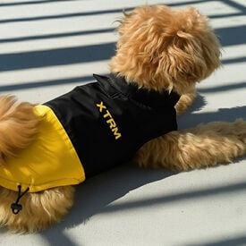 Nayeco X-TRM Chubasquero Negro y Amarillo para perros