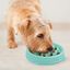 Comedero lento  Slo Bowl olas para perros color Verde, , large indicador imagen numero 3
