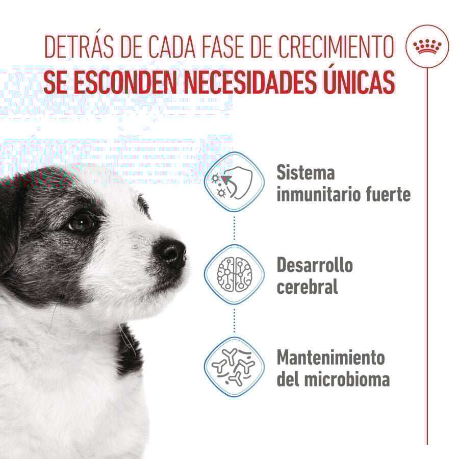 Royal Canin Mini Puppy pienso para perros thumbnail