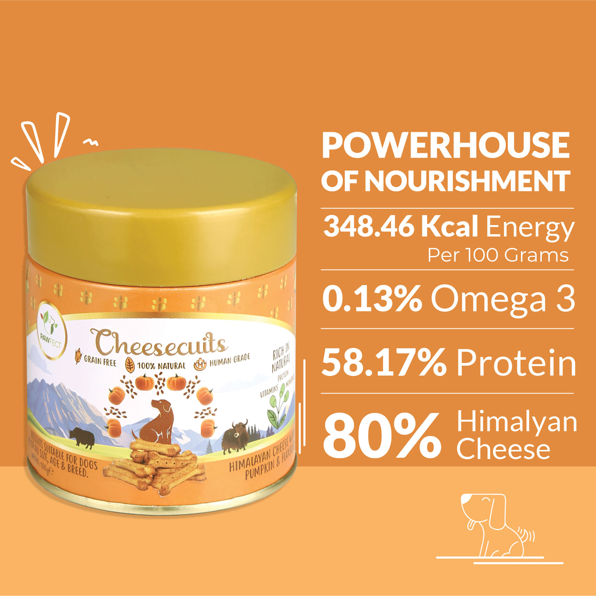 Galletas de queso para perros con calabaza y semillas de lino - Cheesecuits (100 g/3,53 oz), , large Imagen numero 3