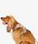 Pet and Co Set De Arnés y Correa Rosa Polvo Rex - Perros, , large indicador imagen numero 2