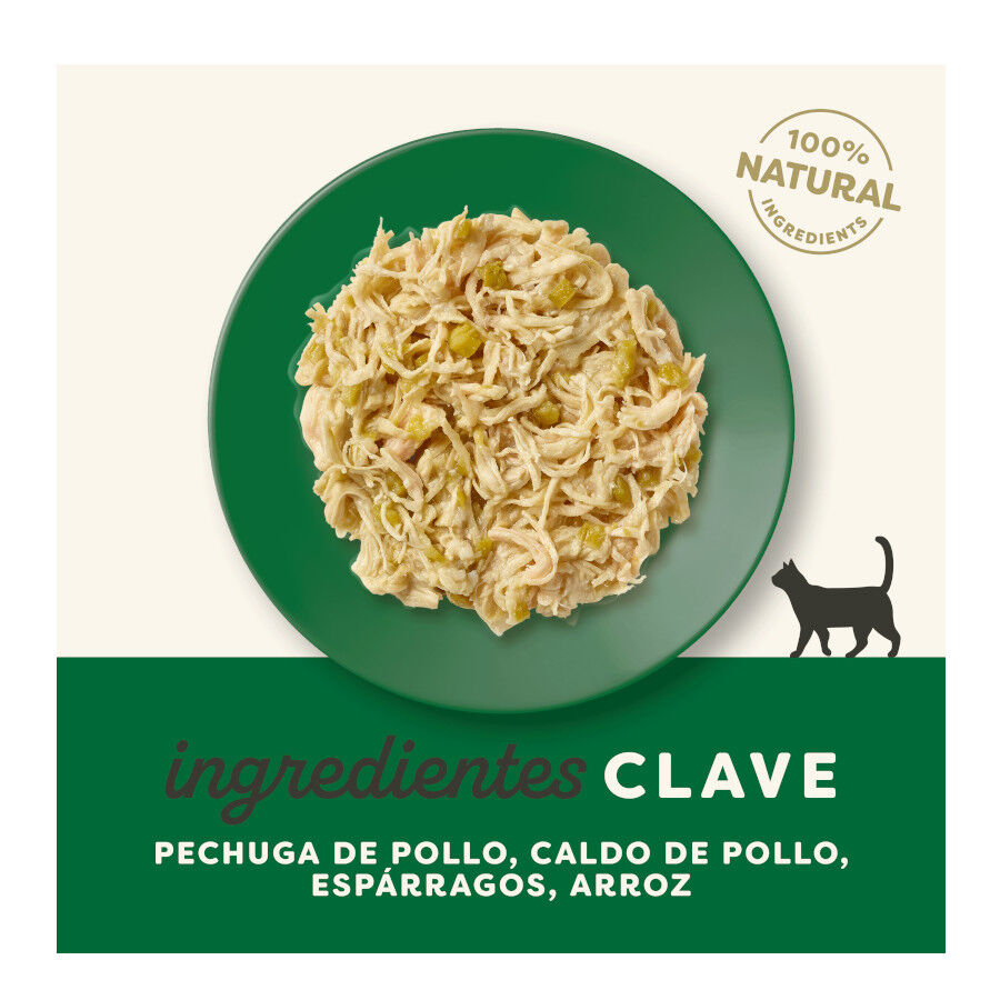 70 g Applaws Pollo y Esp&aacute;rragos sobre para gatos, , large Imagen numero 4
