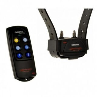 Collar Canicom First para perros color Negro