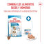 8 kg Royal Canin Starter MotheryBaby Mini pienso para perros, , large indicador imagen numero 6